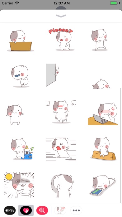 Pro Cat Animated No.1 Stickers screenshot 3