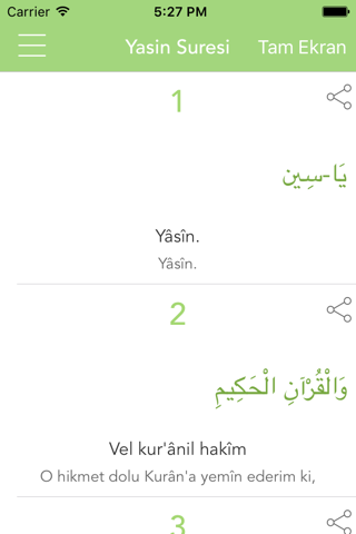 Yasin Suresi Yasin-i Şerif PRO - náhled