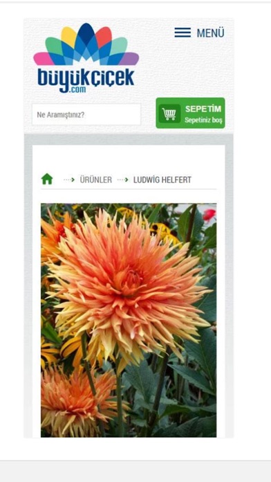 Büyük Çiçek screenshot 2