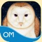 Reconnect with the Magic of the Universe, the best-selling deck is now available as an app