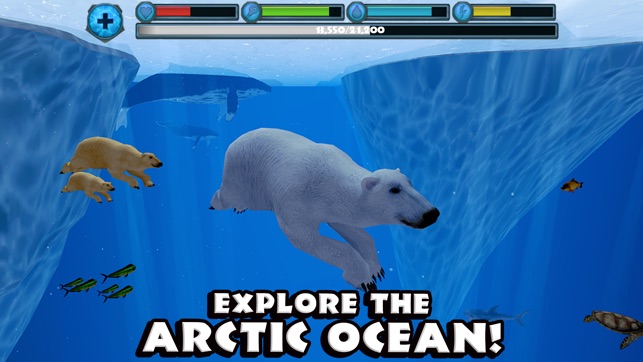 Polar Bear Simulator(圖3)-速報App