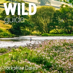 Wild Guide Yorkshire Dales