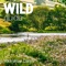 A new compendium of adventures, from the best-selling and award-winning Wild Guide series, now released for the Yorkshire Dales, Nidderdale, Forest of Bowland and parts of the South Pennines