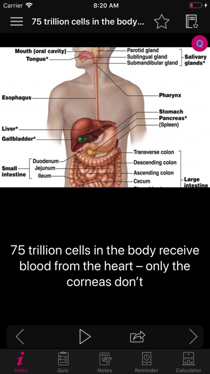 Digestive Facts & Quiz 1800