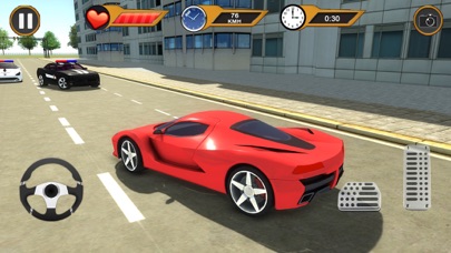 Crazy Police Car Chase Theft screenshot 3