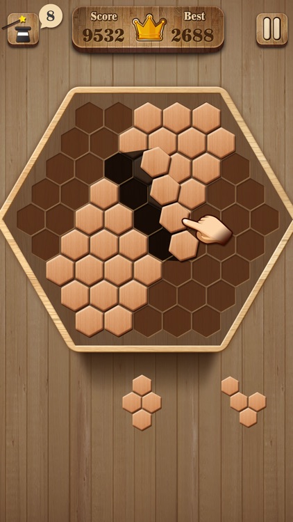 Wooden Hexagon Fit: Hexa Block