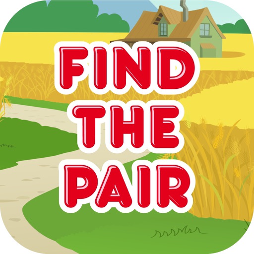 Find the pairs and match