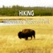For those that love the great outdoors and want to explore Yellowstone National Park, this application is for you