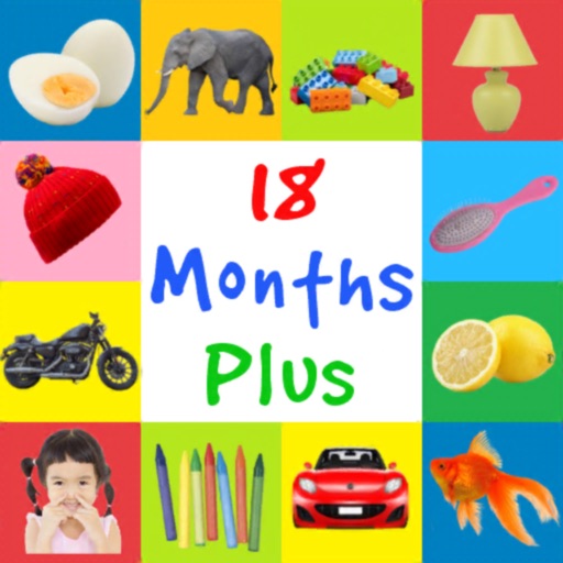 Learn Words 18 Months Plus by Noelle Hilgesen