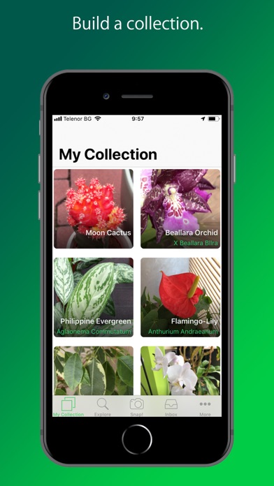 PlantSnap Plant Identification Screenshot 4