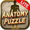 Anatomy Crossword Game