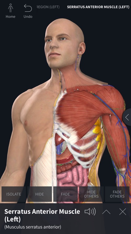 Complete Anatomy 19 for iPhone screenshot-0