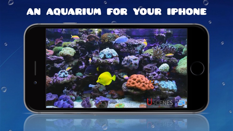 Aquarium HD : Fish Scenes