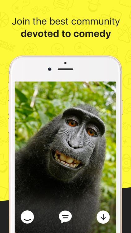 LOL Pics (Funny Pictures)