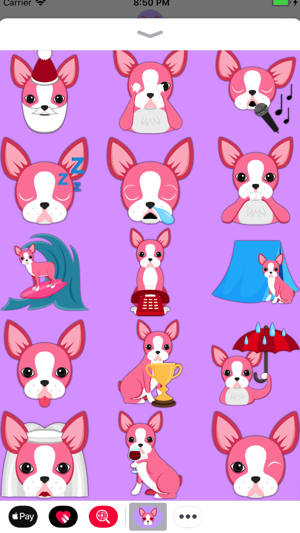 Valentine's Day Boston Terrier(圖4)-速報App