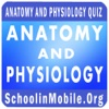 Anatomy and Physiology Practice Exam