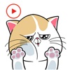 Cat Stickers Animated