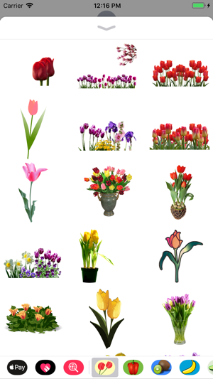 Terrific Tulip Stickers(圖3)-速報App