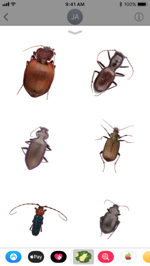 100+ Insects Collection(圖4)-速報App