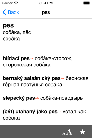 Чешско-Русский словарь screenshot 3