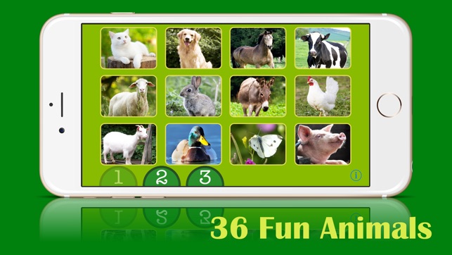 ASL Animals - Lite(圖2)-速報App