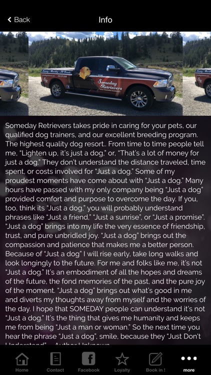 Someday Retrievers Dog Academy screenshot-3