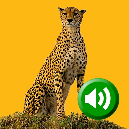 Learning Animal Sounds HD iOS App