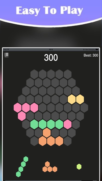 Hex Puzzle Legend screenshot 2