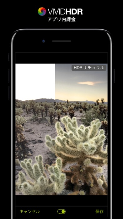 ProCamera. screenshot1