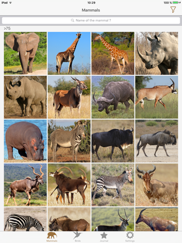 African Safariguide screenshot 2