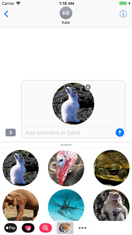 Animal Stickers 4 iMessage