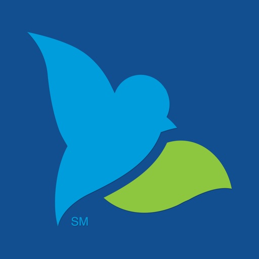 Bluebird by American Express