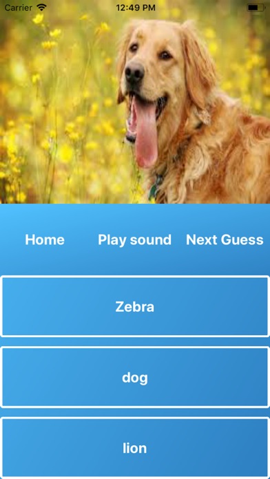 Guess Animals screenshot 2