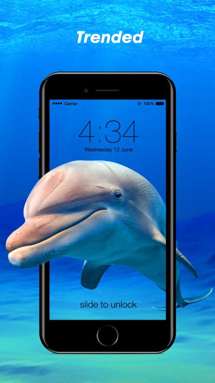 Fancy Wallpapers screenshot-3