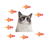 Cat-Game pour PC