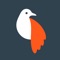 Get drawn in with Olli by Tinrocket
