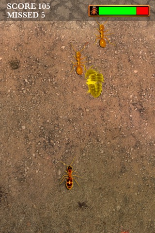 Ant Bug Smasher - Ant Killer screenshot 4