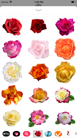 Rose Sticker Pack(圖1)-速報App