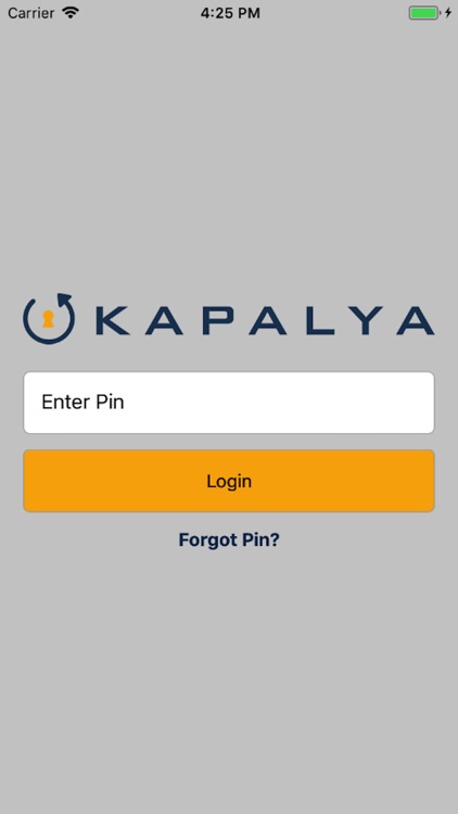 Kapalya Encryption Management