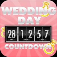 Wedding Countdown