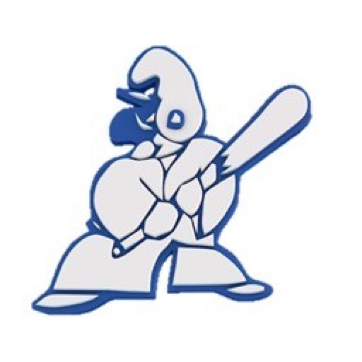 Napoli Baseball icon