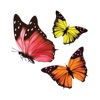 Glossy Butterflies Stickers