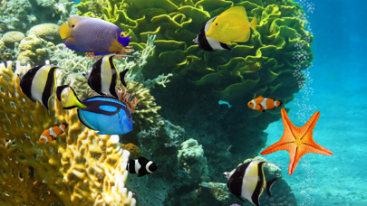 Myreef 3d Aquarium 2 Hd review screenshots