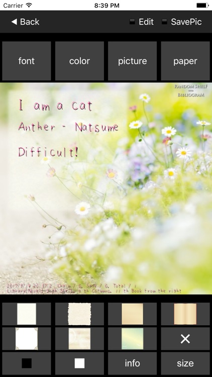 RandomShelf  photogenic SNS