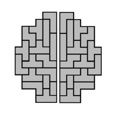 Activities of Braintris full