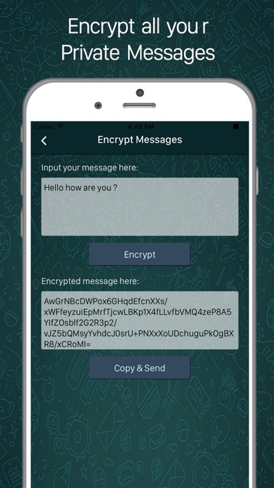 Encrypted Text Chat Locker App screenshot 3