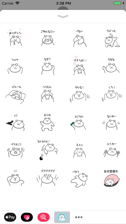 Maltipoo Nari - Japanese Ver.