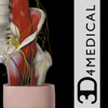 3D4Medical.com, LLC - Hip Pro III アートワーク