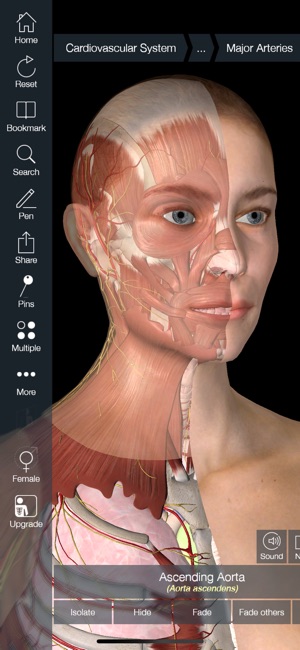 Essential Anatomy 5(圖2)-速報App