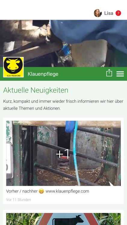 Klauenpflege